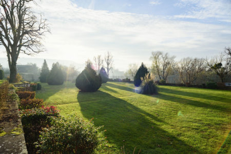 hopital-st-jacques-jardin